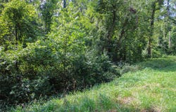V/L Millard Road, Three Rivers, MI 49093