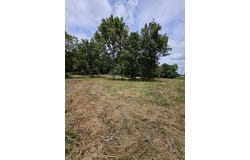 Settlers Trail Road, Marshfield, MO 65706