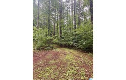 121 COUNTY ROAD 338, CHELSEA, AL 35043