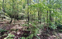 18&19 Stone Road, Glencoe, AL 35905
