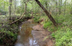 0 Flowing Ivy Lane, Claremont, NC 28610