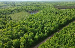 Max Tilley Road, Tomahawk, WI 54487