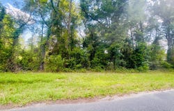 NE 66th Ln lot: 1, Bronson, FL 32621
