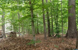 69 BOLLING CIR, PALMYRA, VA 22963