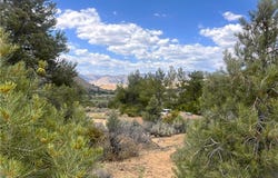 Pine Hollow Rd., Onyx, CA 93255