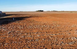 6639 Tiger Road, Ropesville, TX 79358