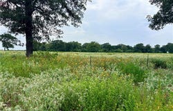 11529 Winstead Lane, Calvert, TX 77837