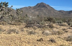 327-06-276 20th Street, Dolan Springs, AZ 86441