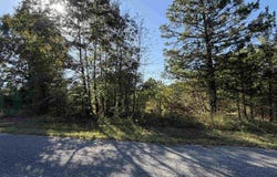 Plantation Circle lot: 31, Melbourne, AR 72556