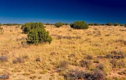 3196 Laurence Drive, Williams, AZ 86046