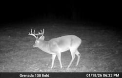 HWY 8 E, Gore Springs, MS 38929