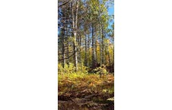 560th Street, Palisade, MN 56469
