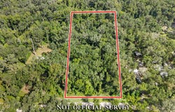 370 NE 385th Ave, Old Town, FL 32680