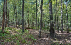 001 Trophy Drive, Pine Grove, PA 17963