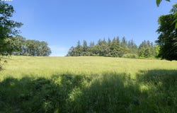 30575 NE FERNWOOD Rd, Newberg, OR 97132