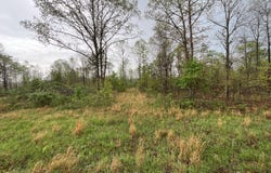 Lake Way lot: 9, Winona, MO 65588