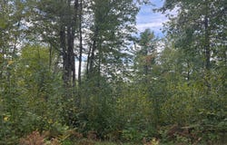 CATOR DR lot: 9, Minocqua, WI 54548