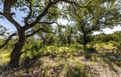 2610 River Way, Spring Branch, TX 78070