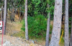 Grass Valley, Lake Arrowhead, CA 92352