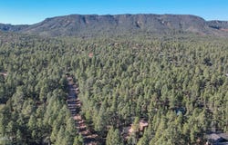 110 W Bradshaw Drive, Pine, AZ 85544