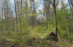 Mound Hill Rd, Wilkesville, OH 45695