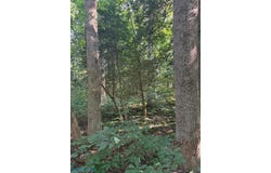 1.27ac Ware Street, Gloucester, VA 23061