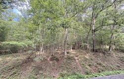 W Clayton Rd, TALCOTT, WV 24981