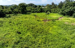 LAEHALA ST, Hilo, HI 96720