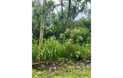 NENUE ST, Pahoa, HI 96778
