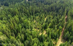 435 Nowhere Rd, Priest River, ID 83856