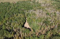 County Rd 14, Flatwood, AL 36728