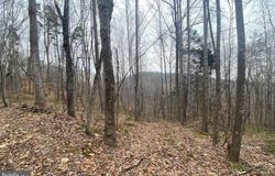 TURKEY RIDGE ROAD, CASTLETON, VA 22716