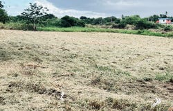 Islote, Arecibo, PR 00612