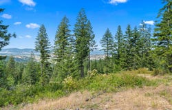 NKA E Belmont Rd, Mica, WA 99023
