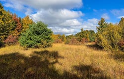 Parcel 3 / 4 E Darga Road, Cedar, MI 49621
