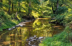 TRACT 78 - "WATERFALL" LOT @ STALLARD SP, Shelbyville, KY 40065
