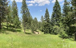 NNA Sangster Rd., Anatone, WA 99401
