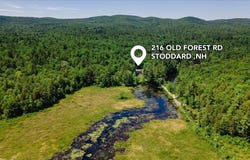 216 Old Forest Road, Stoddard, NH 03464