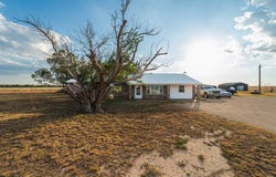 4202 County Road 137, Roscoe, TX 79545