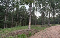 90 Parker Creek Road, Murfreesboro, AR 71958