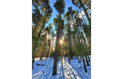 Valle Grande Circle lot: 1108, Angel Fire, NM 87710