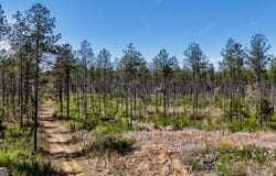 28 ACRES Youngs Farm Road, Cedartown, GA 30125