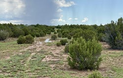 85 Co Rd 8128, Concho, AZ 85924