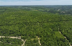 River Road, Belmont, NY 14813