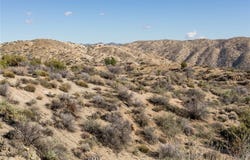 Magnolia Drive, Morongo Valley, CA 92256