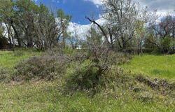 W Ryus, La Veta, CO 81055