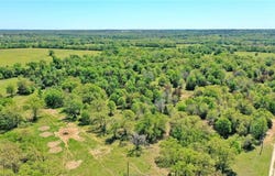 468 Deep Creek Lane, Franklin, TX 77856