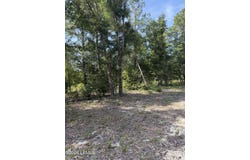 Bulls End, Ridgeland, SC 29936