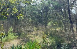 BOWMAN Road, SPRING HILL, FL 34610