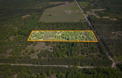 Parcel C Niemi Road, Kaleva, MI 49645